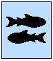 poisson.jpg