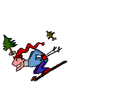 ski.gif