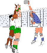 volley.gif