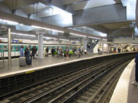 ort5.jpg